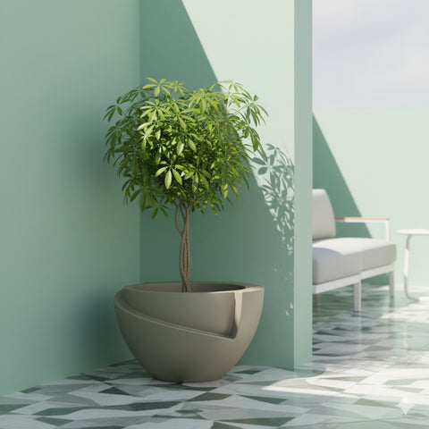 Macetero Curitiba Ø39cm H32cm Polietileno Alta Densidad, incluye plato, sin planta