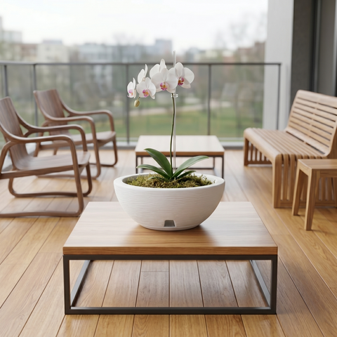 Macetero Amsterdam Ø30cm H13cm Polietileno Alta Densidad, incluye plato, sin planta
