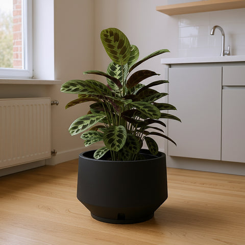 Macetero Berlim Ø39cm H31cm Polietileno Alta Densidad, incluye plato, sin planta