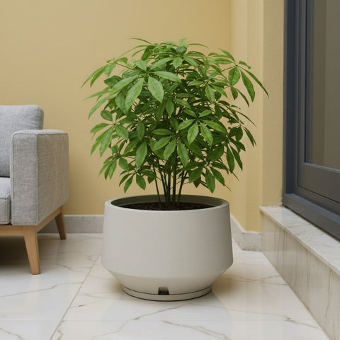 Macetero Berlim Ø39cm H31cm Polietileno Alta Densidad, incluye plato, sin planta