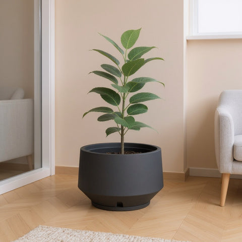 Macetero Berlim Ø39cm H31cm Polietileno Alta Densidad, incluye plato, sin planta