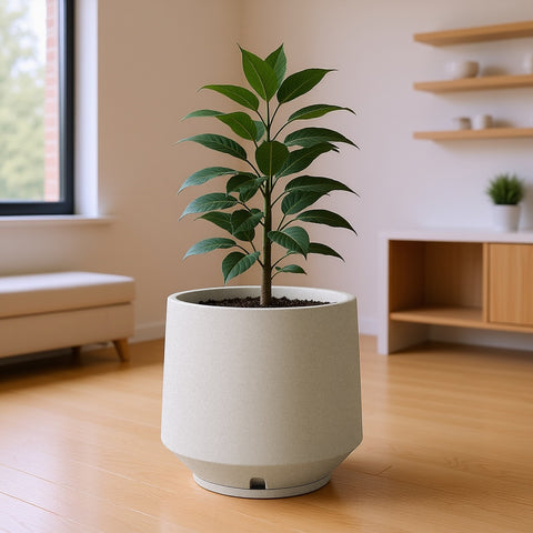 Macetero Berlim Ø39cm H41cm Polietileno Alta Densidad, incluye plato, sin planta