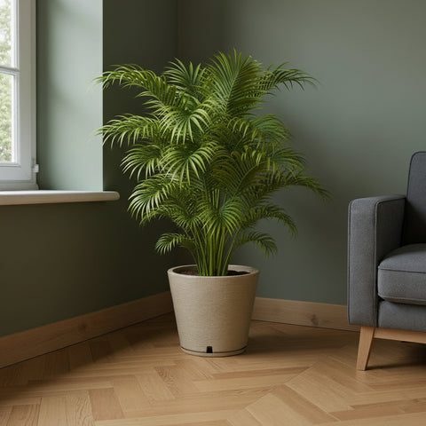 Macetero Genebra Ø34cm H35cm Polietileno Alta Densidad, incluye plato, sin planta