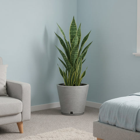 Macetero Genebra Ø34cm H35cm Polietileno Alta Densidad, incluye plato, sin planta