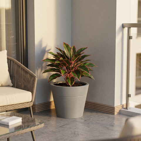 Macetero Gramado Ø38cm H50cm Polietileno Alta Densidad, incluye base con ruedas, sin planta
