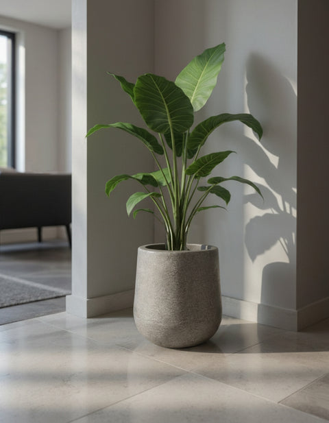 Macetero Maragogi Ø19cm H30cm Polietileno Alta Densidad, sin planta