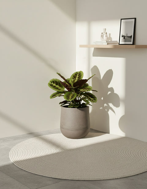 Macetero Maragogi Ø28cm H36cm Polietileno Alta Densidad, sin planta