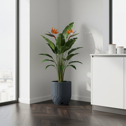 Macetero Valencia Ø26cm H35cm Polietileno Alta Densidad, incluye plato, sin planta
