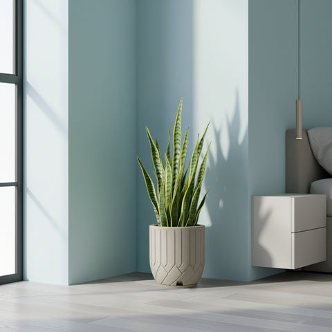Macetero Valencia Ø26cm H35cm Polietileno Alta Densidad, incluye plato, sin planta