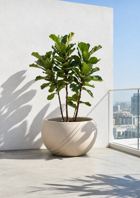 Macetero Rio de Janeiro Ø60cm H40cm Polietileno Alta Densidad, incluye plato, sin planta
